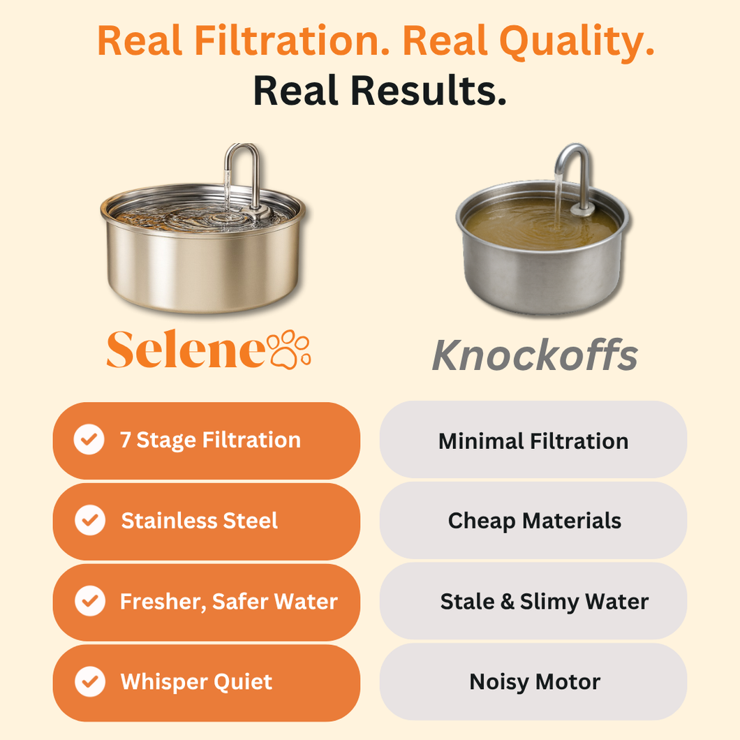 The Doggy Fountain™