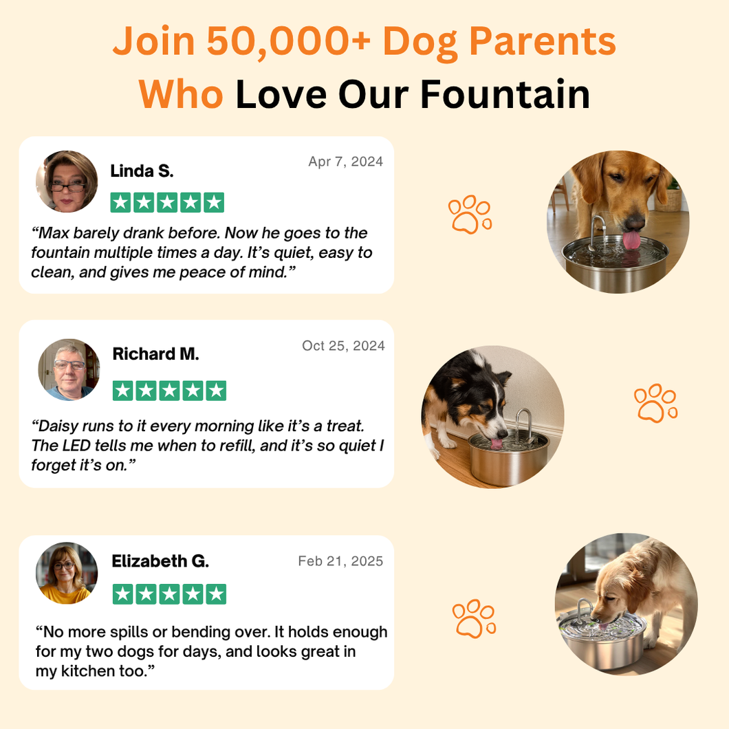 The Doggy Fountain™