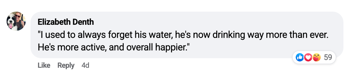 SEATTLE | Trendy Outfits for Women | Boutique Online