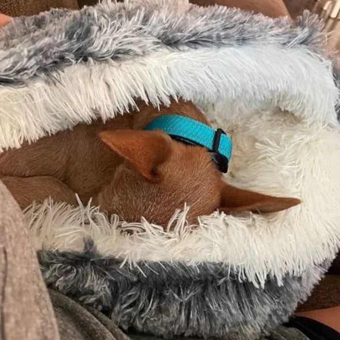 CozyNook™ Plush Dog & Cat Cave Bed 🐾