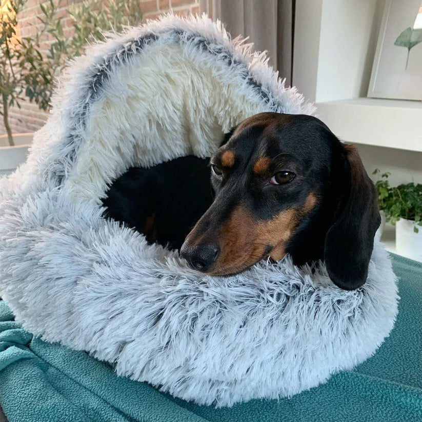 CozyNook™ Plush Dog & Cat Cave Bed 🐾