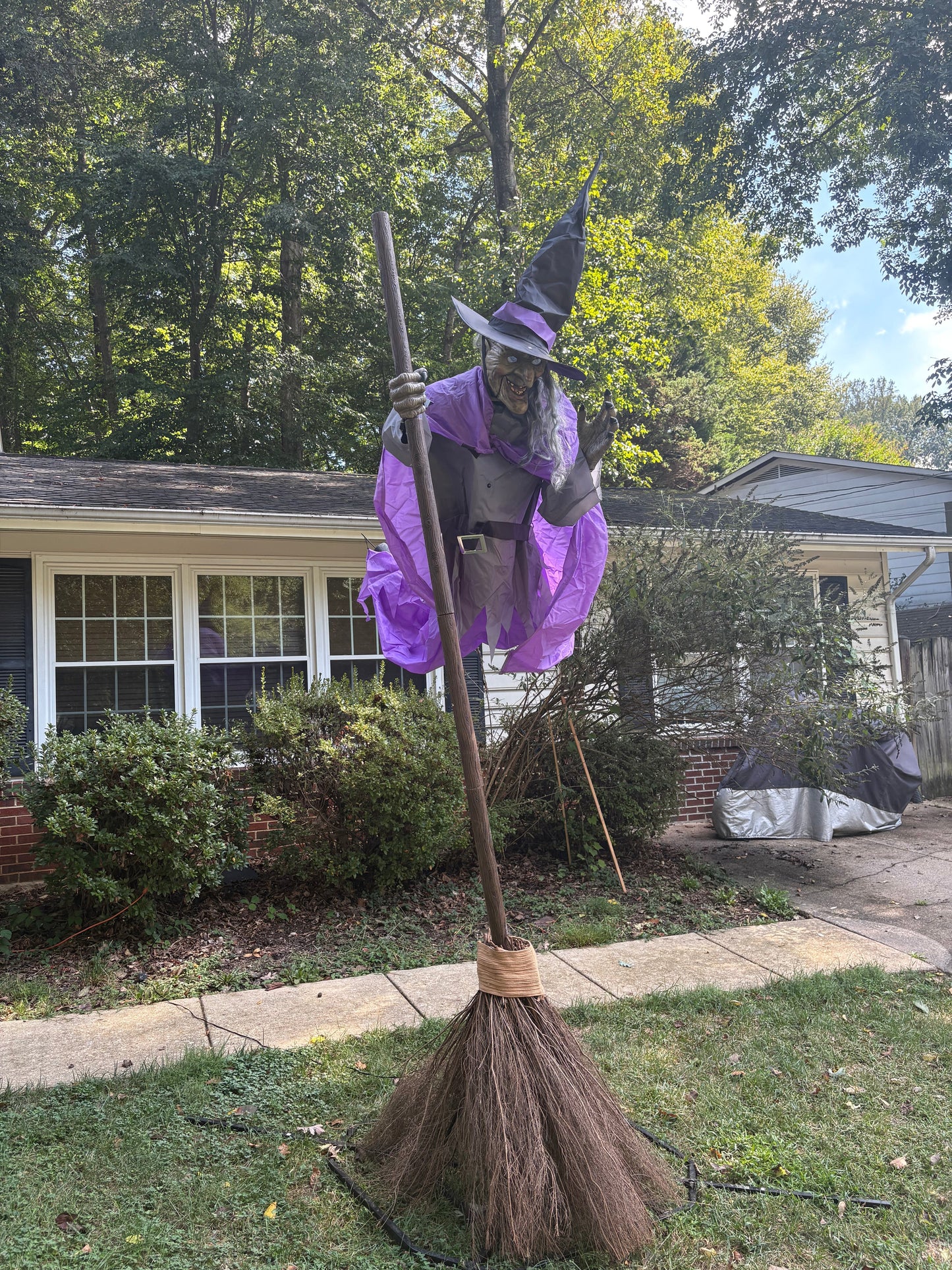 Halloweenight's Famous 12Ft Flying Witch