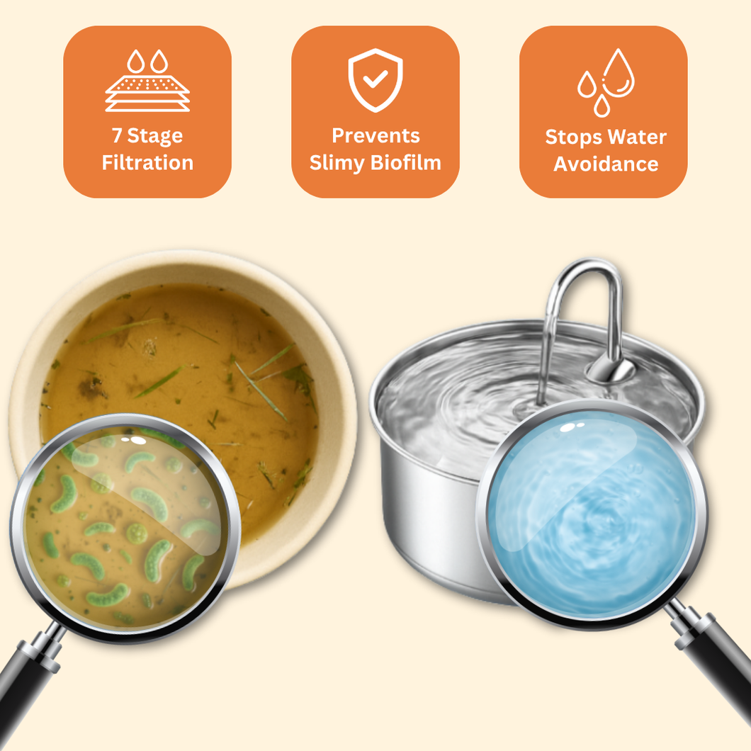 The Doggy Fountain™