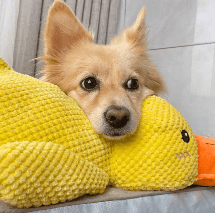 Dog Calming Duck – The Cuddle Buddy That Eases Anxiety